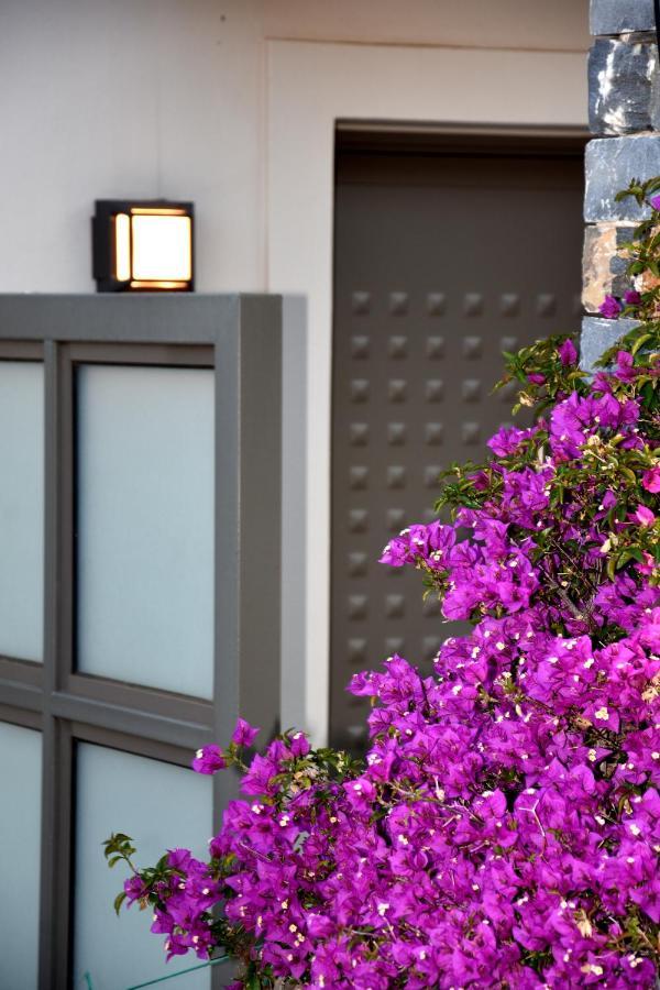 Ελιάδες - Eliades Apartments Karystos  Luaran gambar